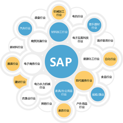 杭州SAP ERP軟件 企業數字化轉型的智慧選擇與專業咨詢指南