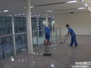 長沙保潔公司中泰家政 15年行業經驗，專業除四害服務